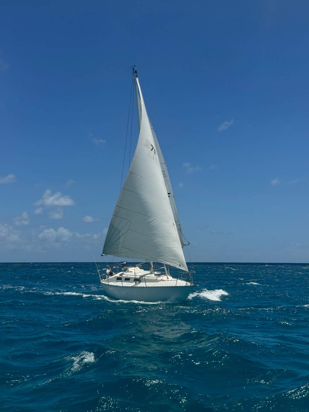 Viking 30