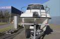 Leisurecat 8000 Sportsfisher