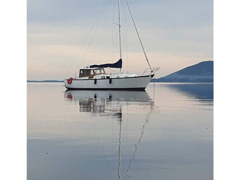Huon Pine Motor Sailer