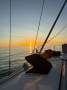 Hunter 46 Hunter 460:plenty of hatches fir airflow