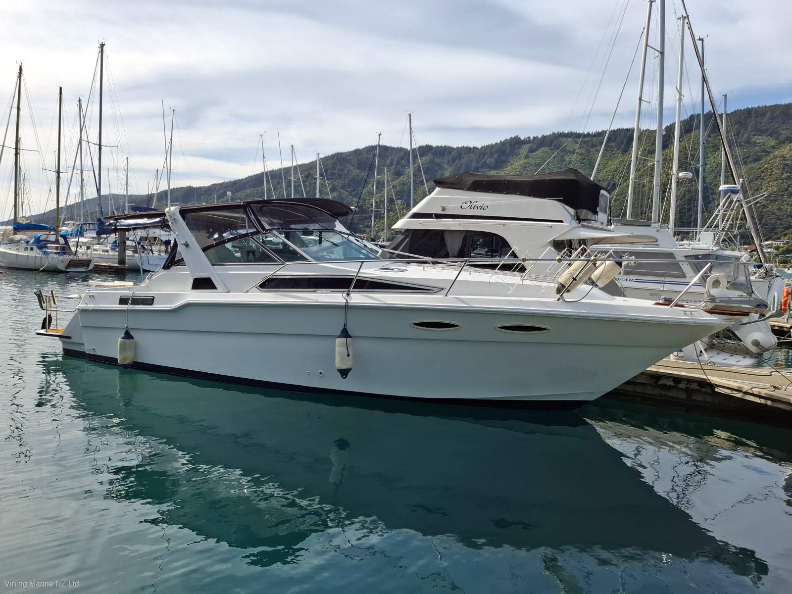 Sea Ray 300 Sundancer