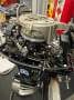 Thundercat With 25 HP - 2 stroke motor.
