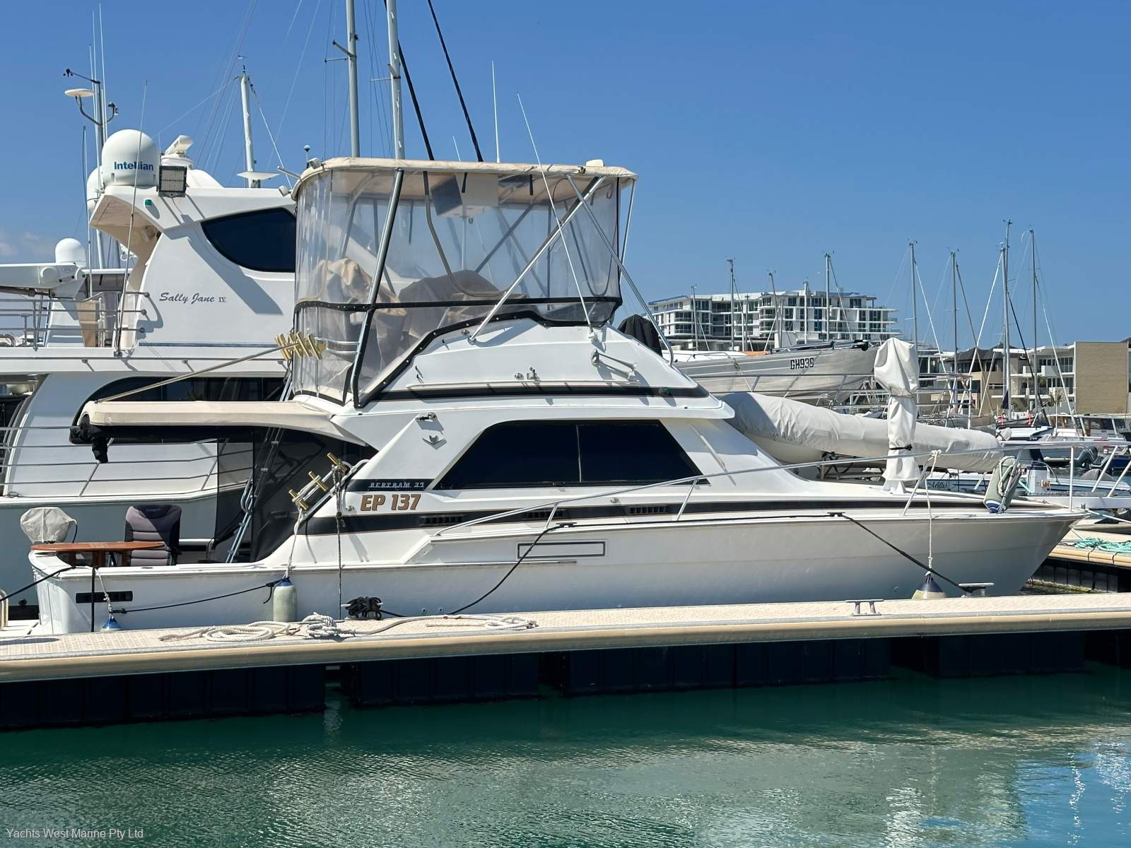 Bertram 37 Flybridge " 2 x Diesel Shaft Drives ":BERTRAM 37 by YACHTS WEST ph 9335 7788