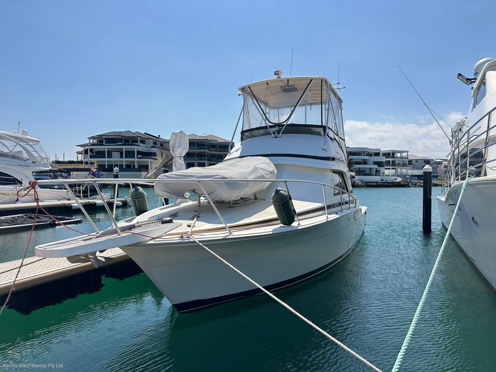 Bertram 37 Flybridge " 2 x Diesel Shaft Drives ":BERTRAM 37 by YACHTS WEST ph 9335 7788