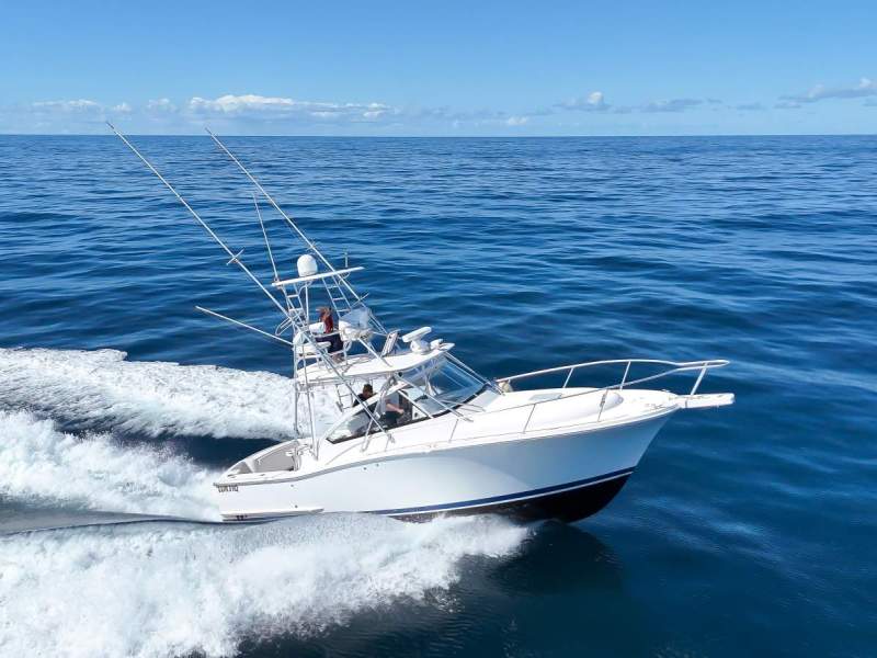 Luhrs 31 Open Tower