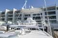 Luhrs 31 Open Tower