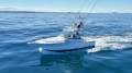 Luhrs 31 Open Tower