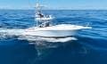 Luhrs 31 Open Tower