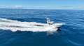 Luhrs 31 Open Tower