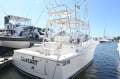 Luhrs 31 Open Tower