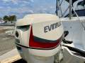 Quintrex 530 Freestyler Quintrex 530 Freestyler