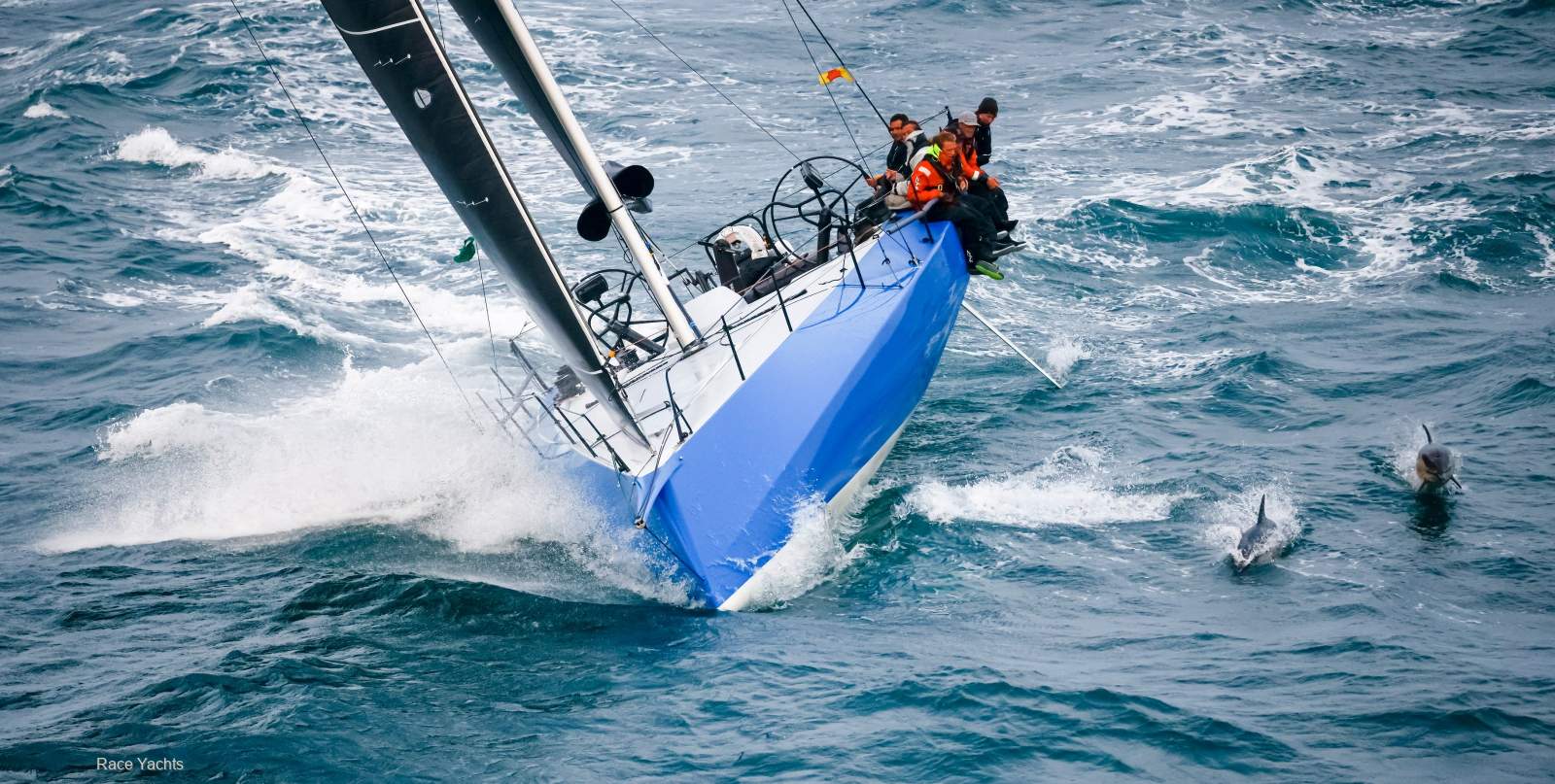 Carkeek CF 520