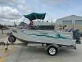 Ally Craft 4.80 Bar Raider
