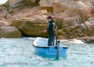 ELite 500W ePropulsion Electric Outboard