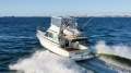 Caribbean 35 Flybridge Cruiser