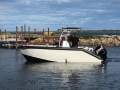 Alumarine 6.5 Poly