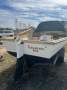Custom fibreglass fishing boat on trailer