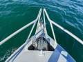 Trailcraft 635