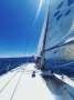 Sailing Charter and Business.