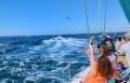 Sailing Charter and Business.