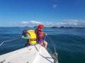 Haines Hunter Tramp Trailer Sailer