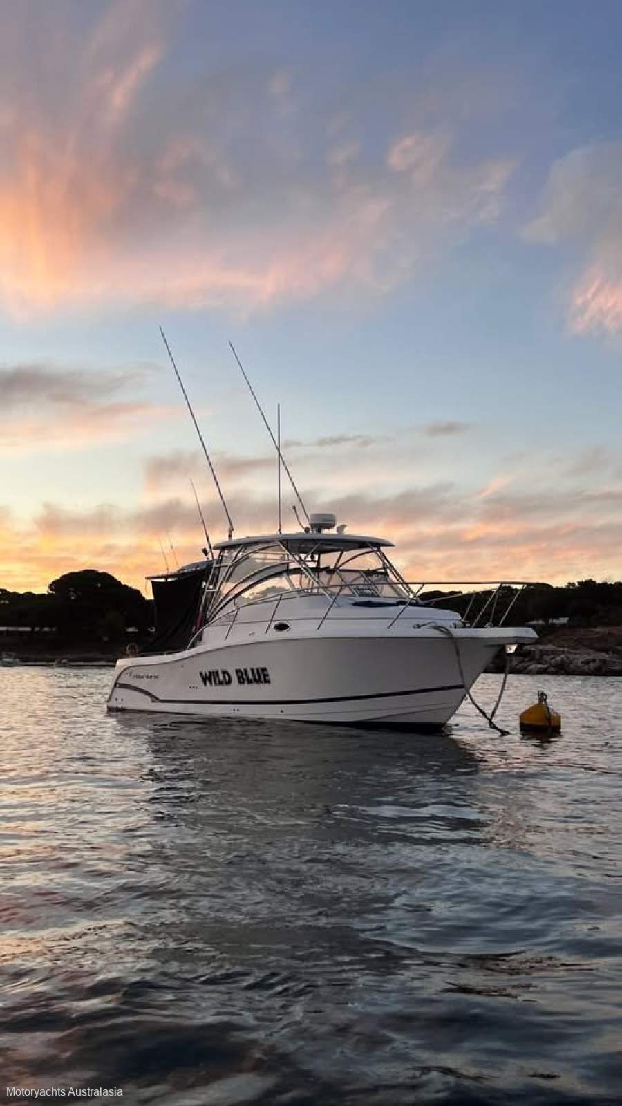 Pro-line 32 Express Cruiser with New Twin Suzuki 250hp in 2020