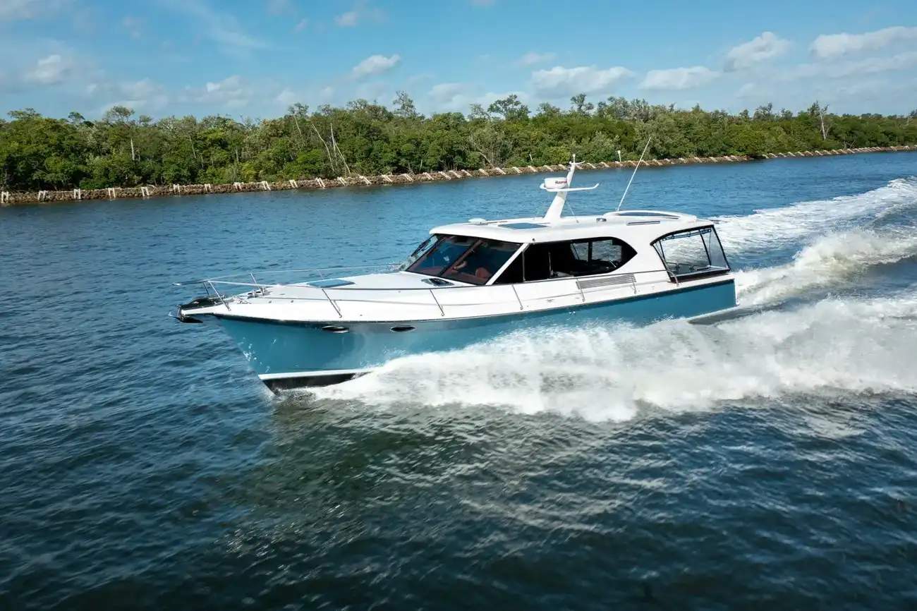 Hylas 49