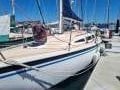Northshore 33