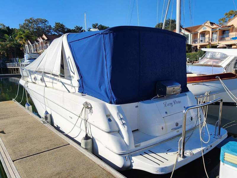 Sea Ray 290