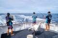 Conquest 52 Fishing Vessel