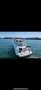 Sunrunner 3100 Sport Cruiser