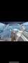 Sunrunner 3100 Sport Cruiser
