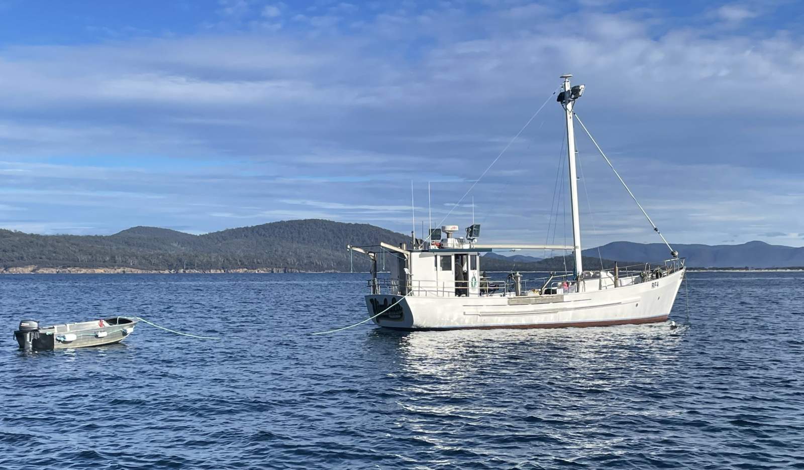 Huon Pine Tasmanian cray boat. In superb condition