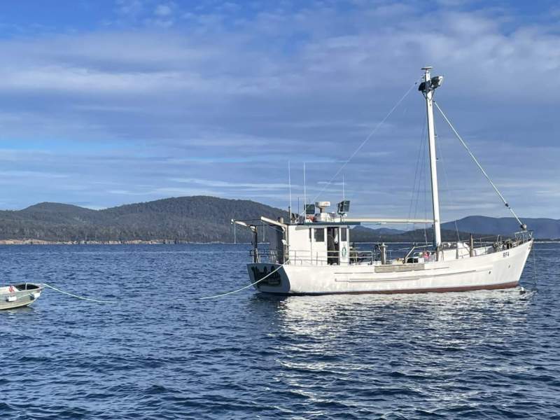 Huon Pine Tasmanian cray boat. In superb condition
