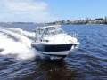 Wellcraft 290 Coastal Fresh antifoul, engine service and polish Oct/2025
