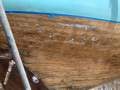 International 8 metre 8CR