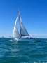 International 8 metre 8CR