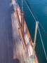 International 8 metre 8CR