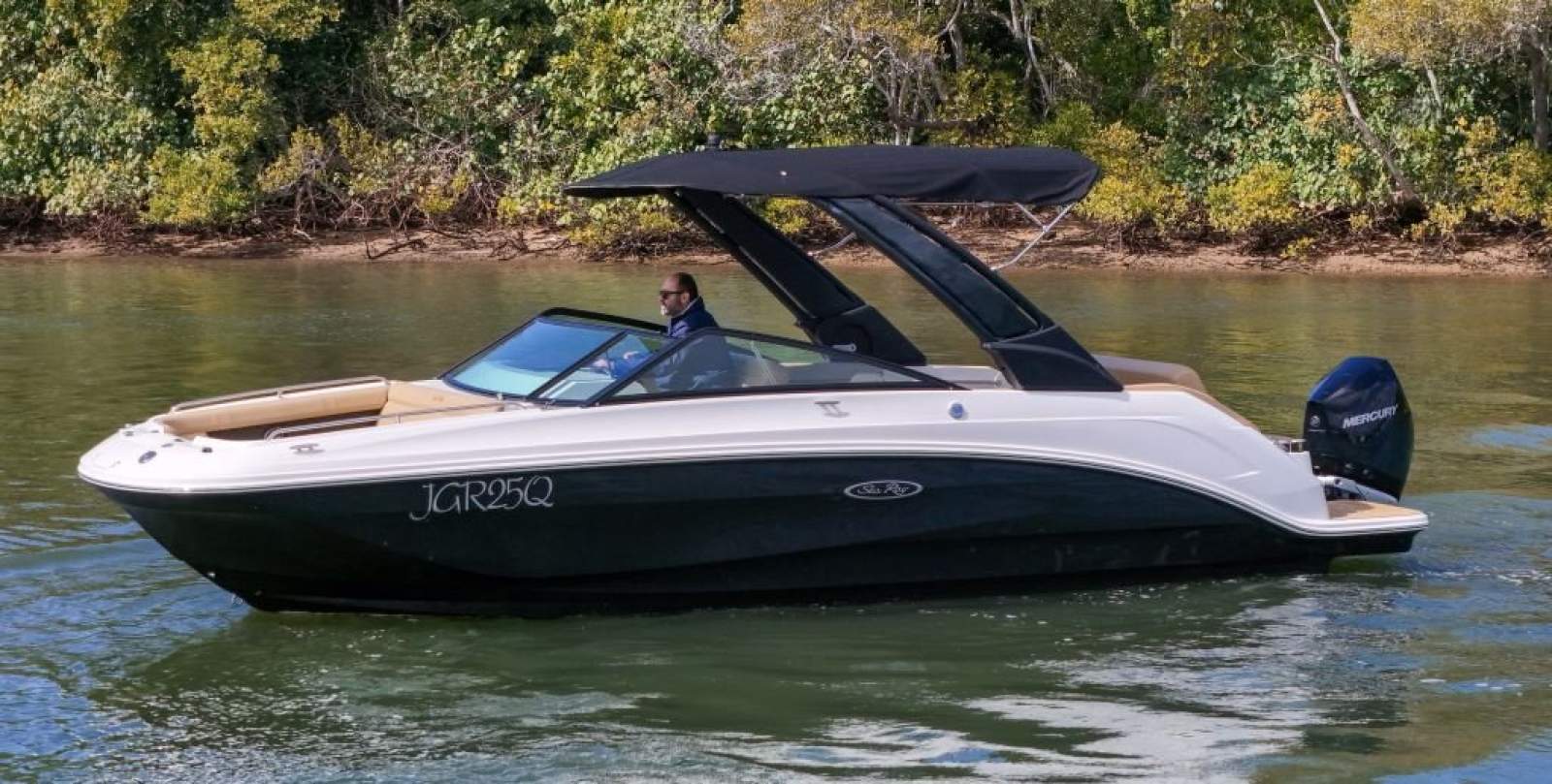 Sea Ray 250 SDX OB Bowrider