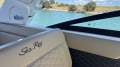 Sea Ray 250 SDX
