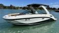 Sea Ray 250 SDX