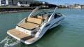 Sea Ray 250 SDX
