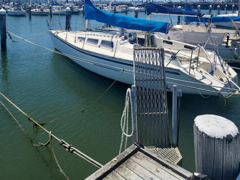 Farr 1104