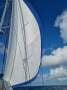 Leopard Catamarans 47 2006
