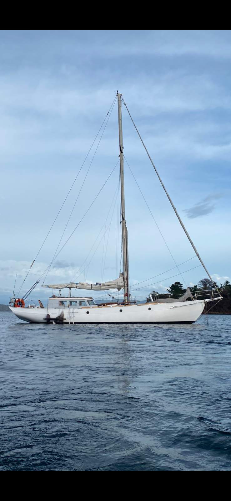 Jock Muir 50 Huon Pine Cutter Jock Muir Cutter