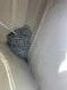 Pursuit OS285 2008MY