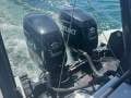 Naiad 10 Charter Vessel 2C Survey 12 + 4 crew