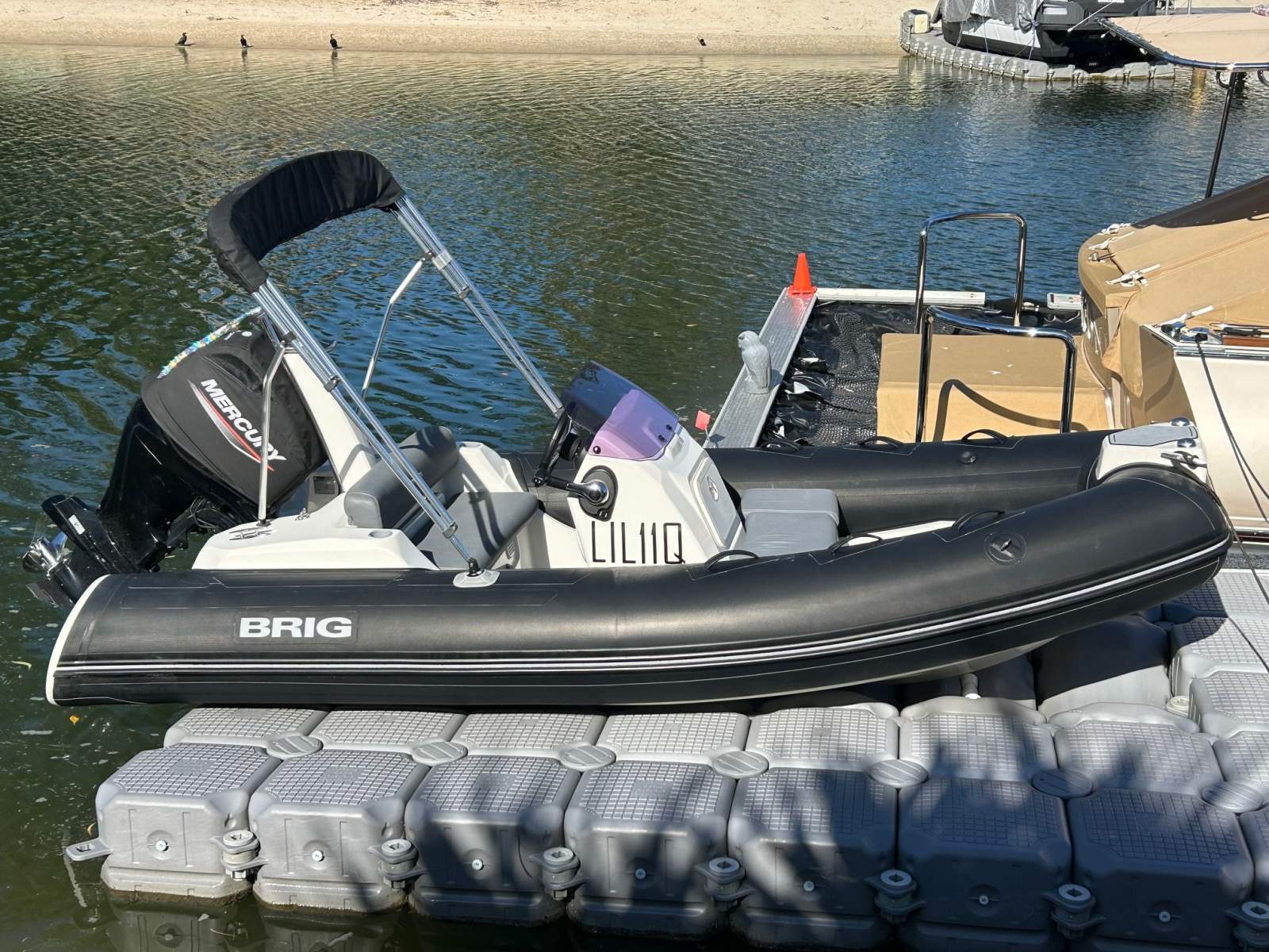 Brig Eagle 4 2021 Model