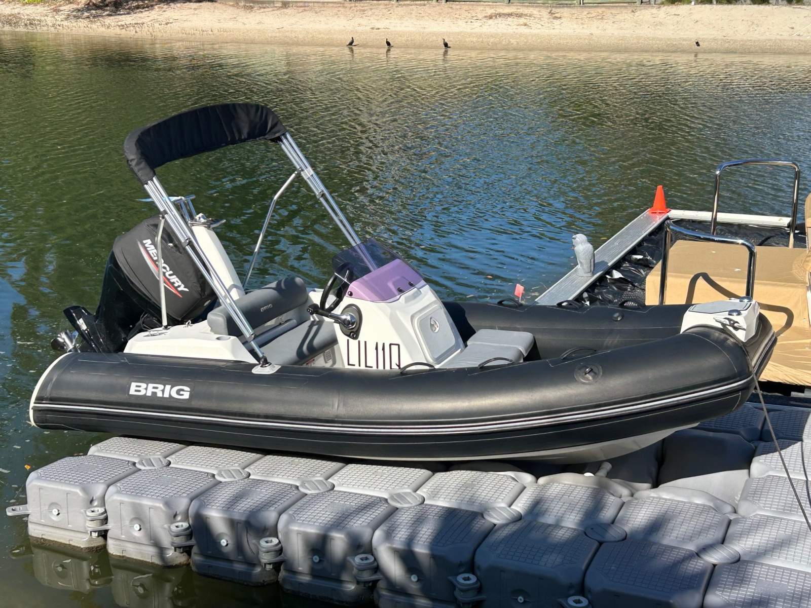 Brig Eagle 4 2021 Model