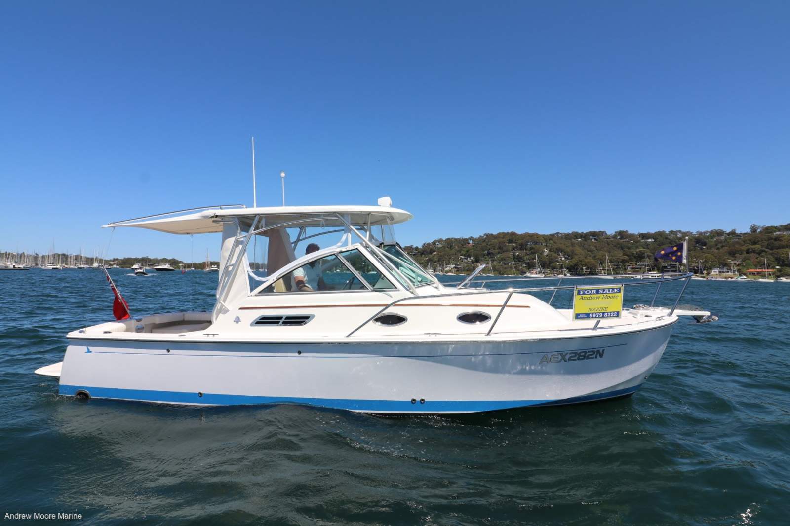 Back Cove 26